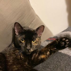 Meet your Posher, Brian